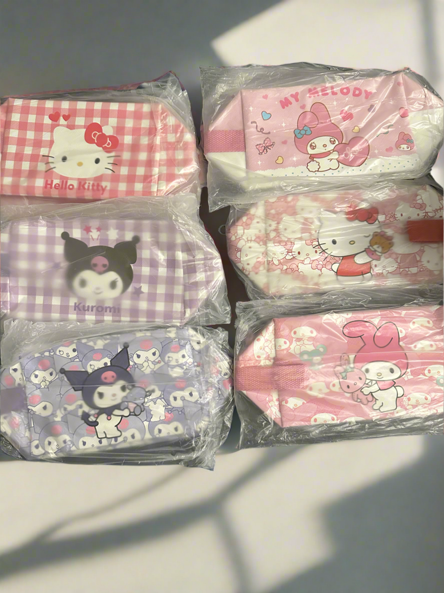 ✨The hello kitty and friends make up bag✨