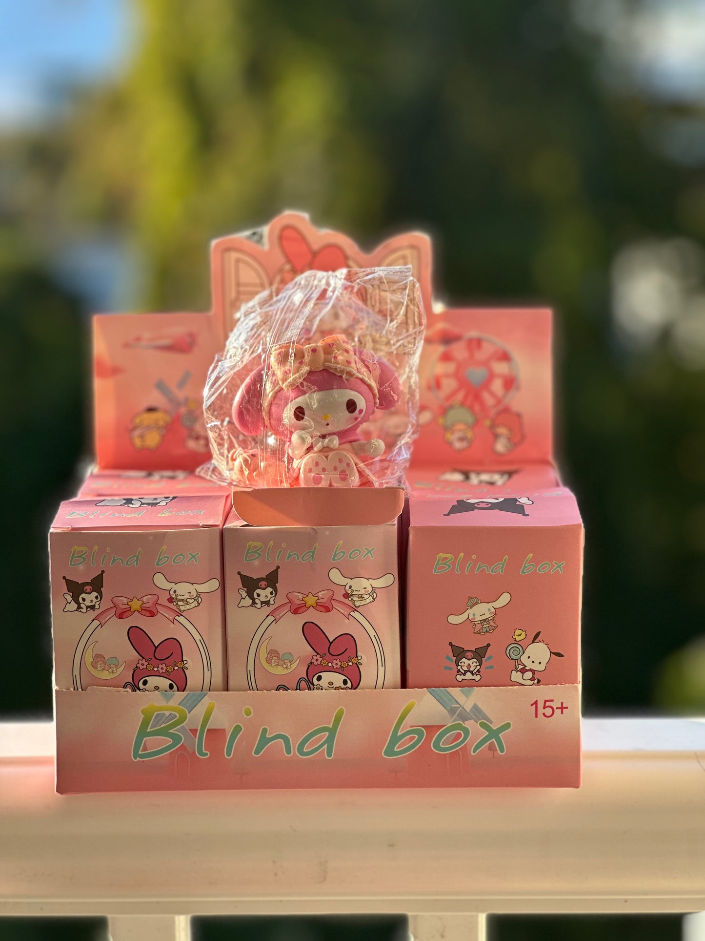 ✨Sanrio Blind Box ✨