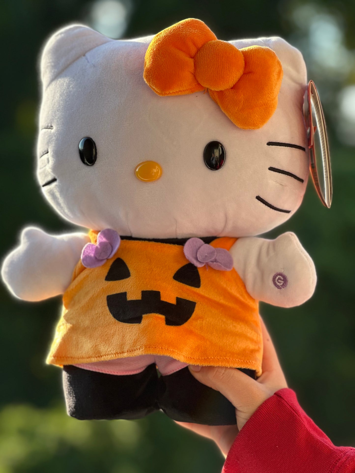 🎃The Halloween Hello Kitty 🐈‍⬛