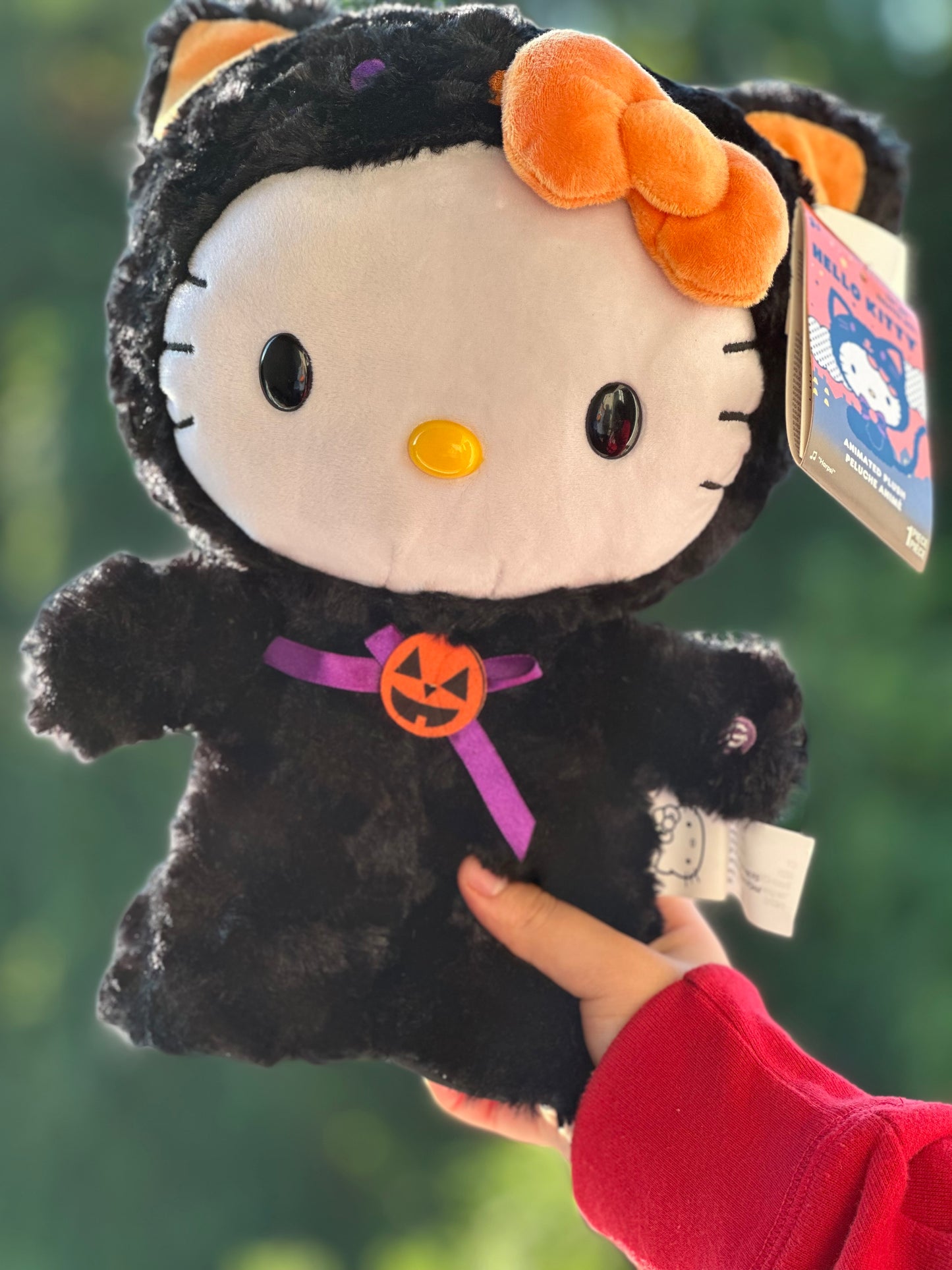 🎃The Halloween Hello Kitty 🐈‍⬛