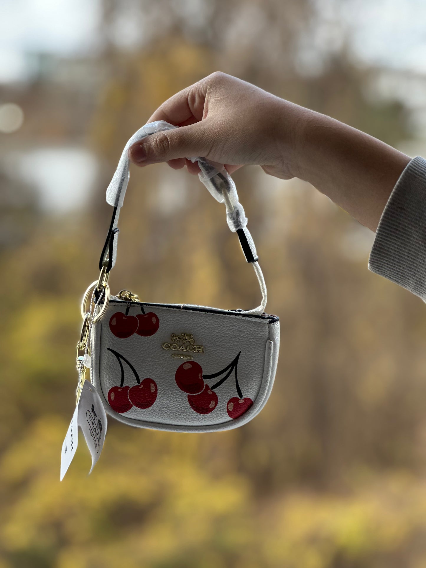 ❣️Mini Handbag❣️