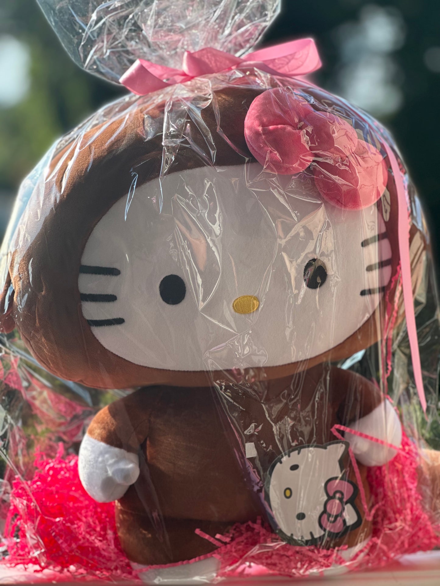 ✨The Hello Kitty Plushies✨