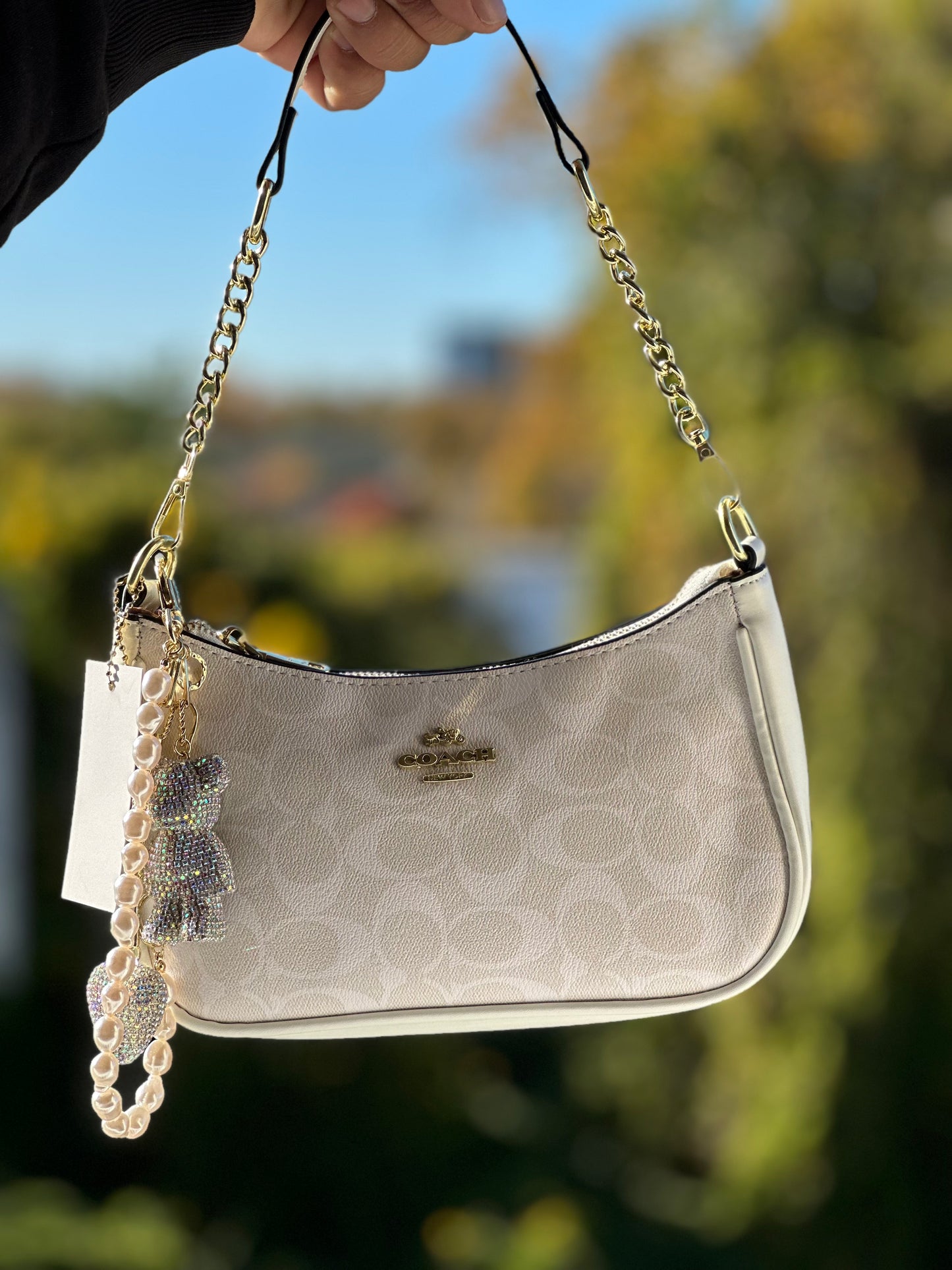 ❣️The Handbags❣️