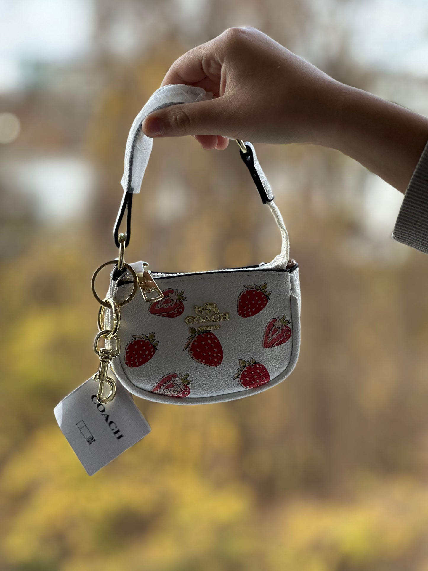 ❣️Mini Handbag❣️