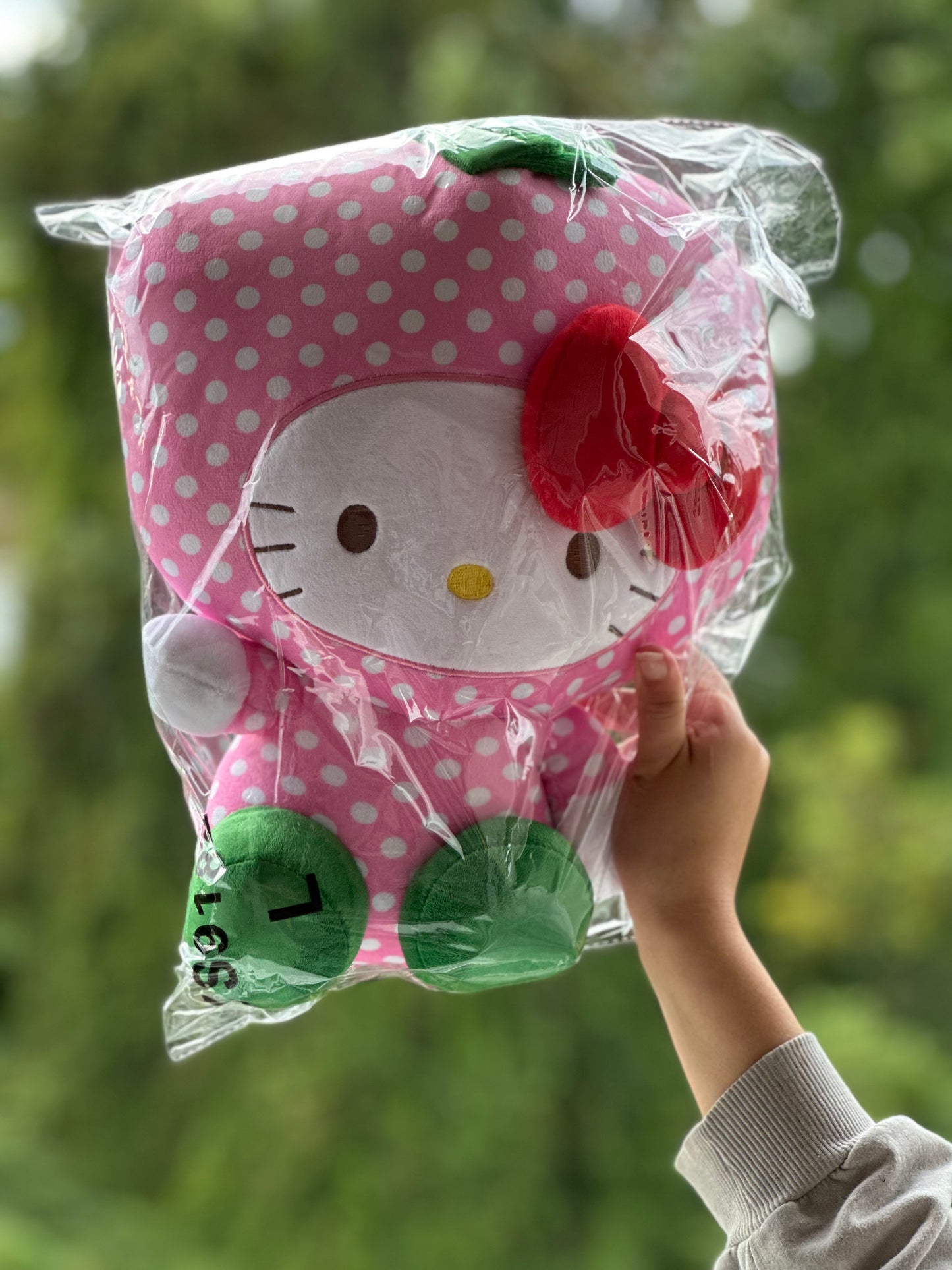 🍍🍉Hello Kitty Fruit Plushies 🍓🍒