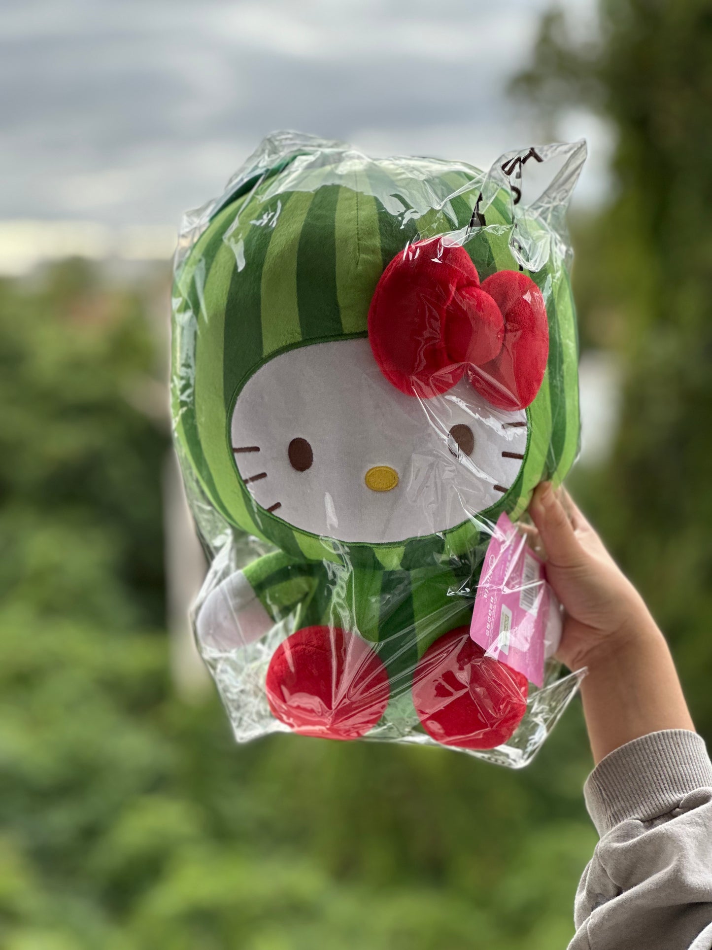 🍍🍉Hello Kitty Fruit Plushies 🍓🍒