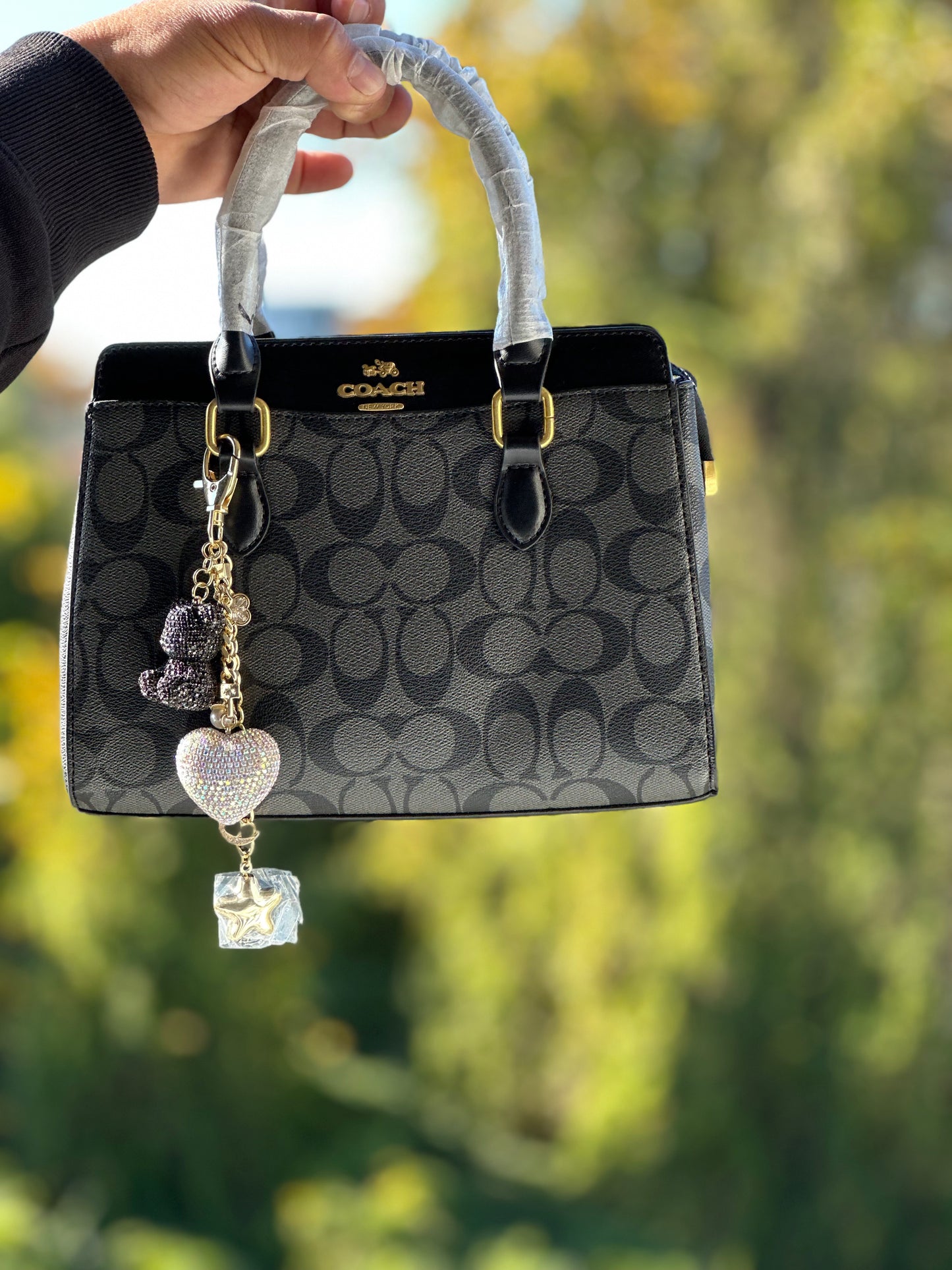 ❣️The Handbags❣️