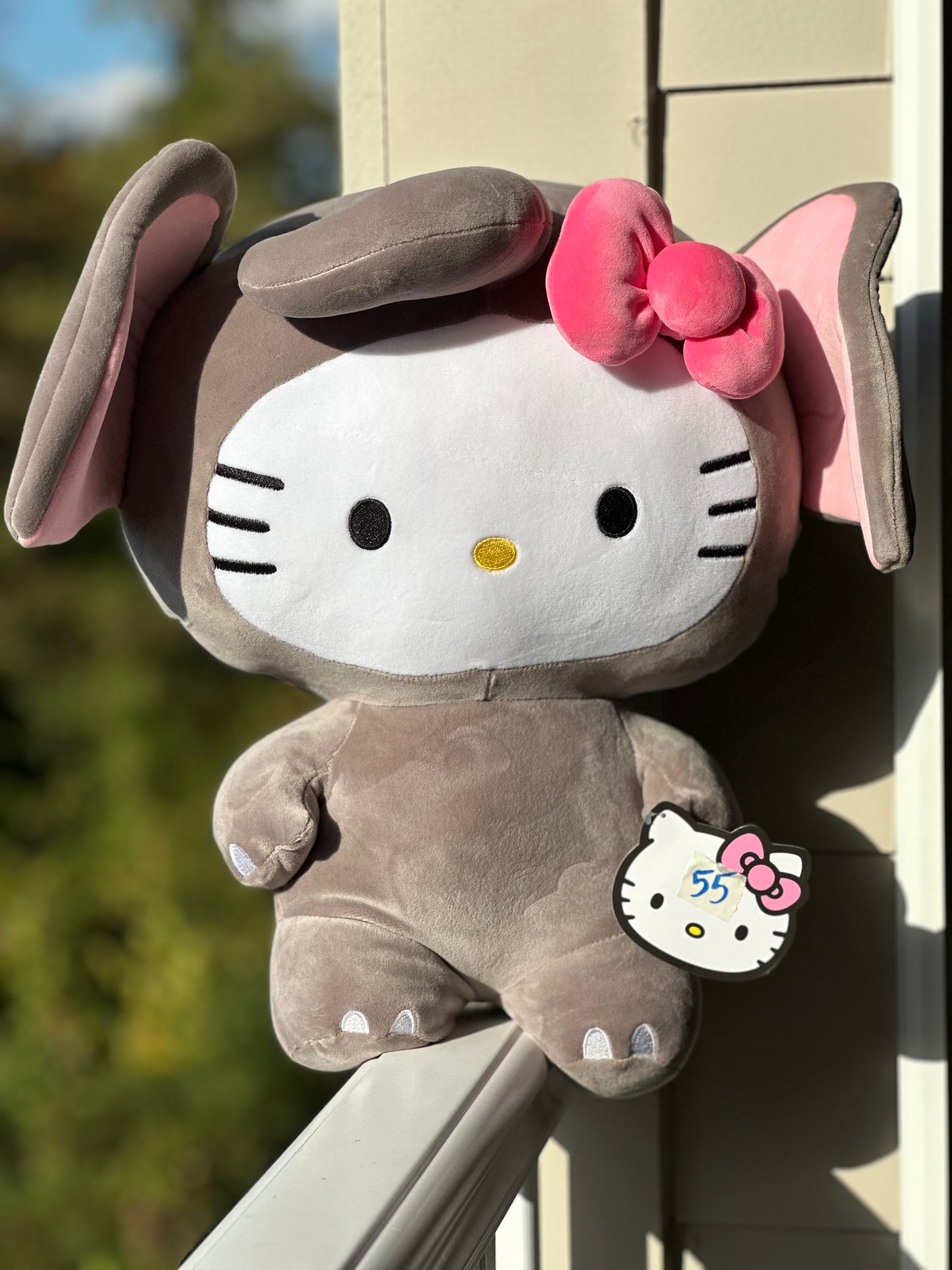 ✨The Hello Kitty Plushies✨