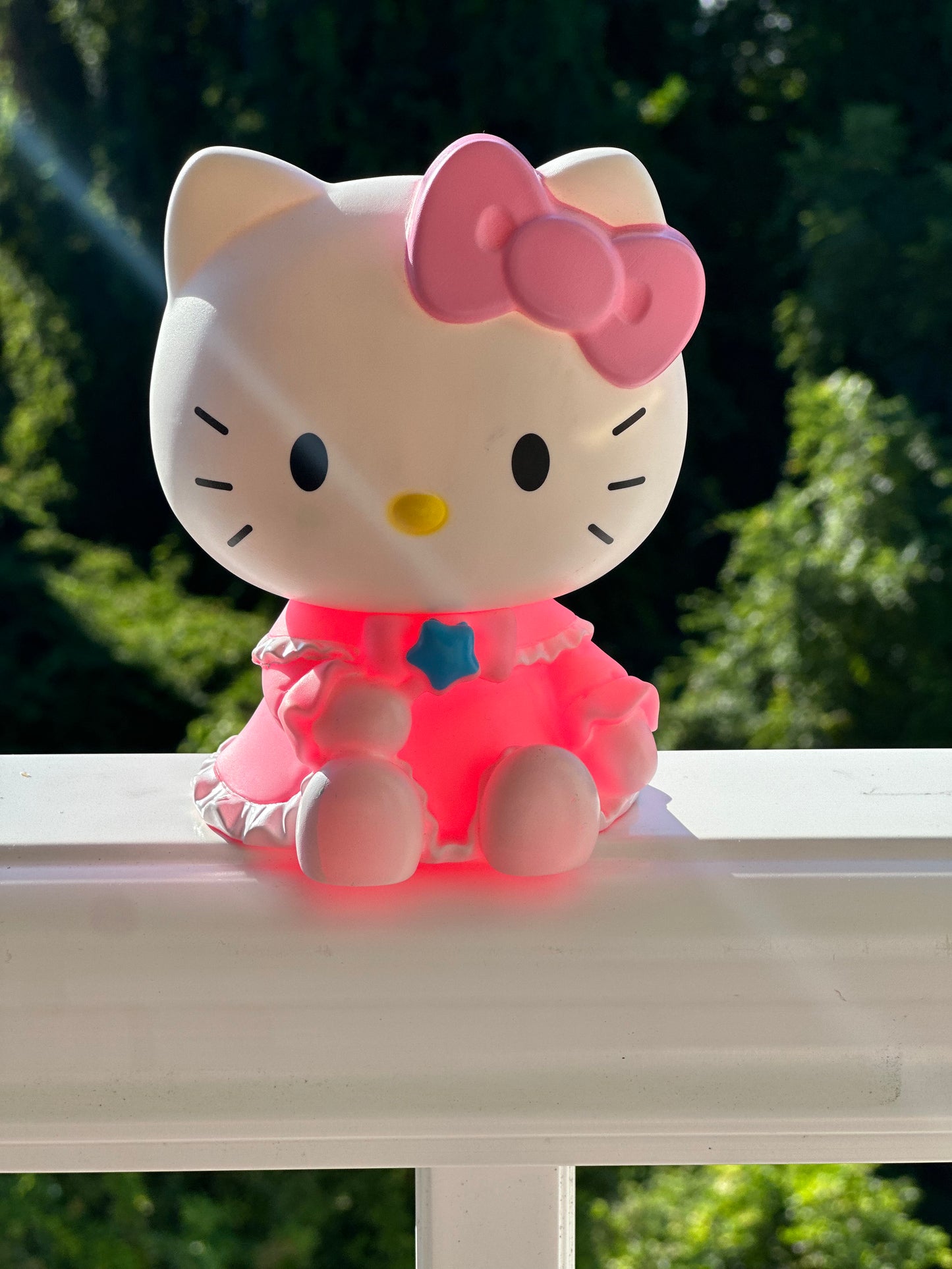 💸The piggy bank 💸