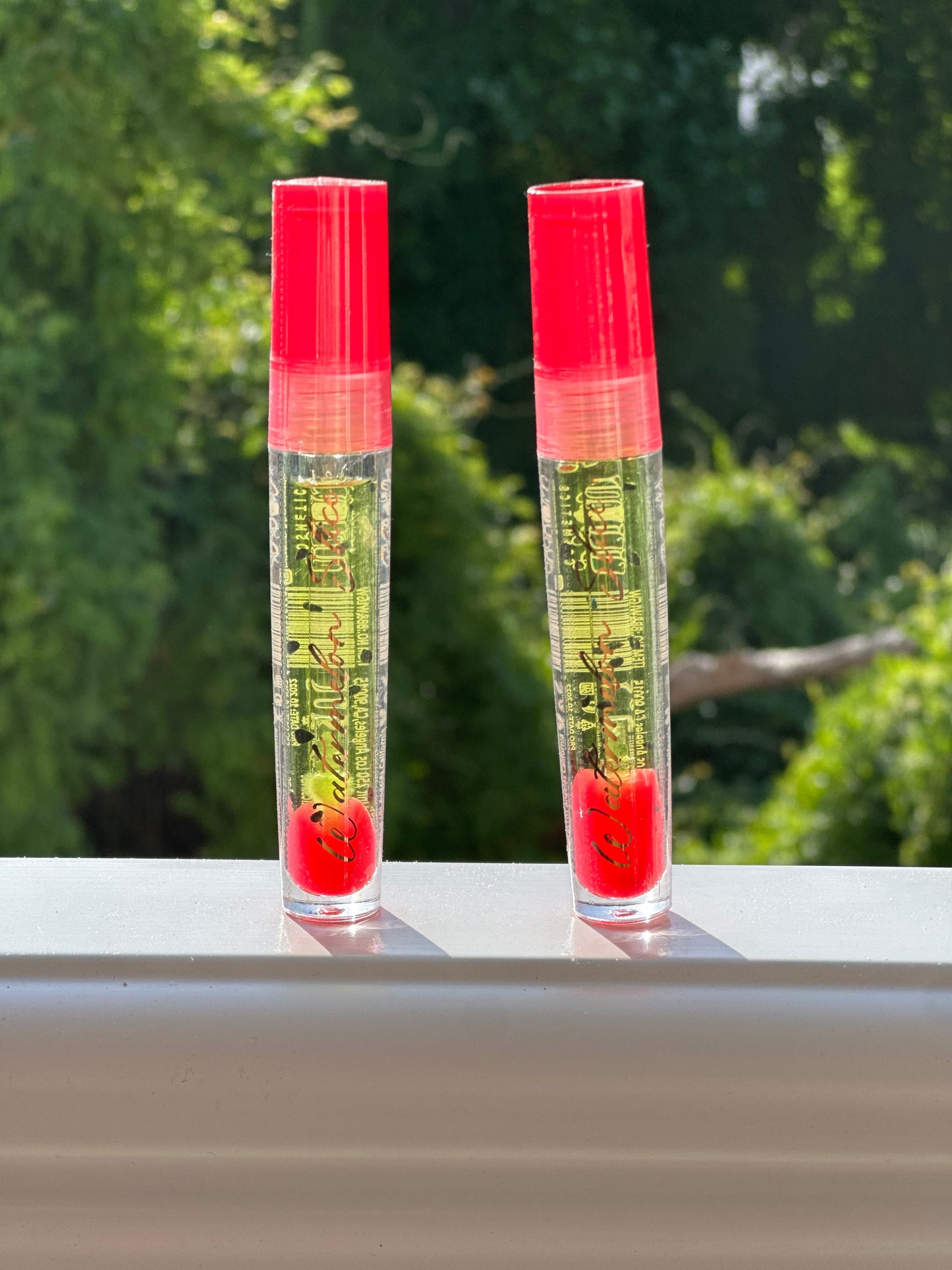 🍉The Watermelon Slice Lip Gloss🍉