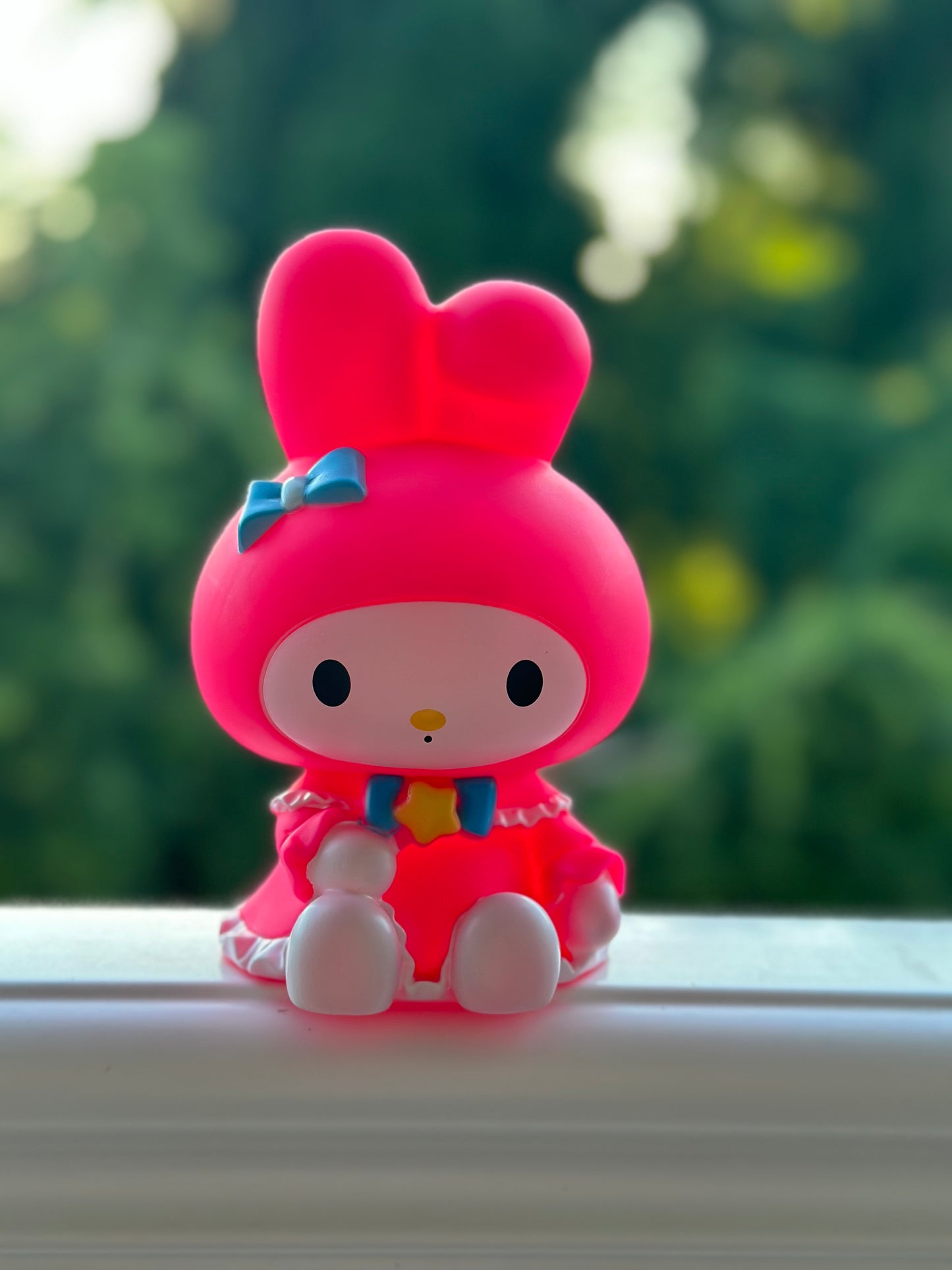 💸The piggy bank 💸